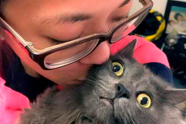 Cats who hate selfie but end up making them hilarious