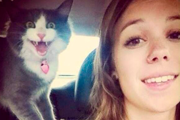 Cats who hate selfie but end up making them hilarious